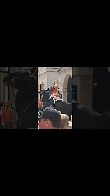 Kings guards horse freaks out over workmen driling #horseguardsparade