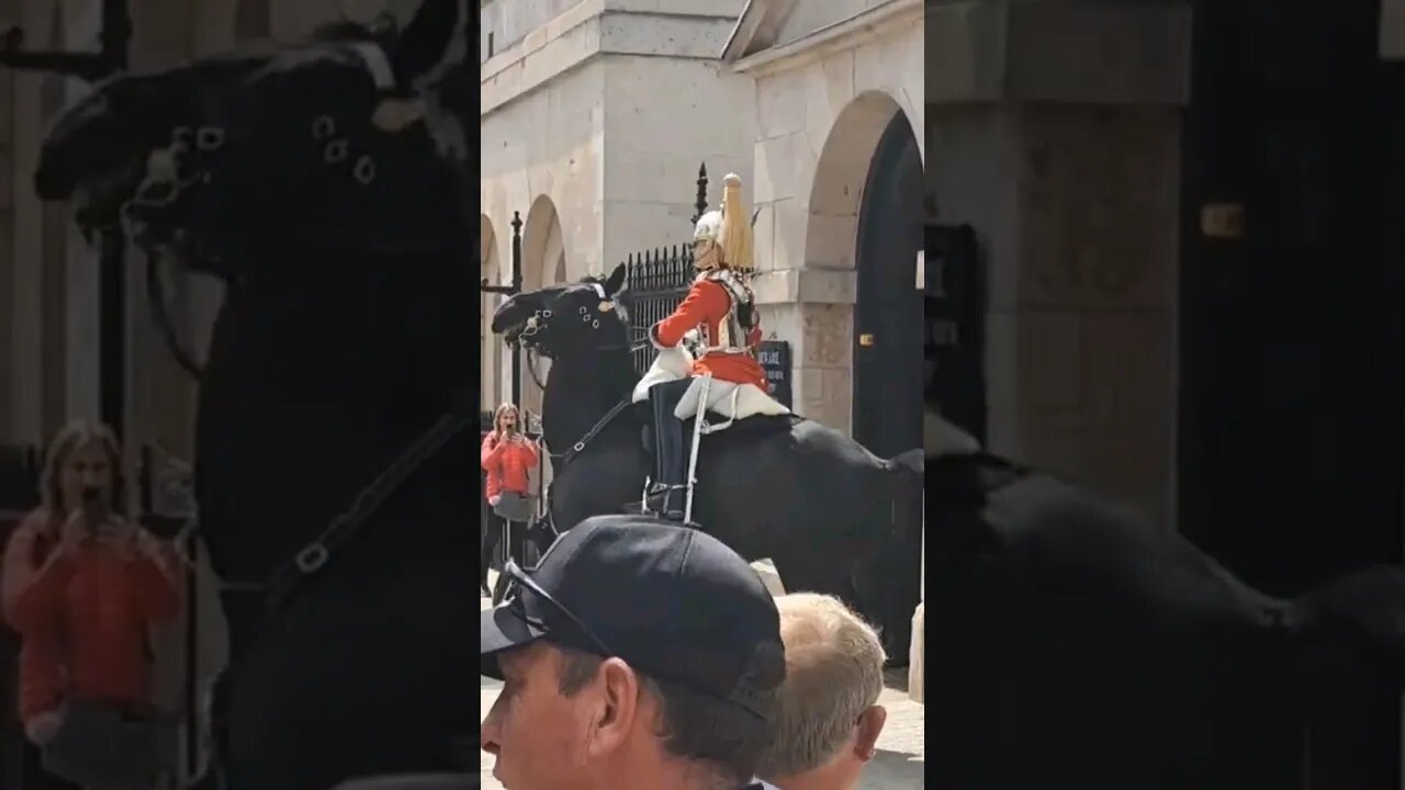 Kings guards horse freaks out over workmen driling #horseguardsparade