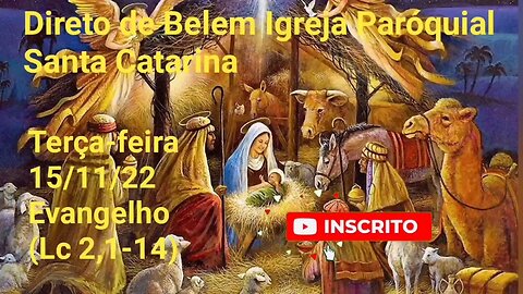 Homilia Direto de Belem na Pelegrinação | Padre José Augusto 15/11/22