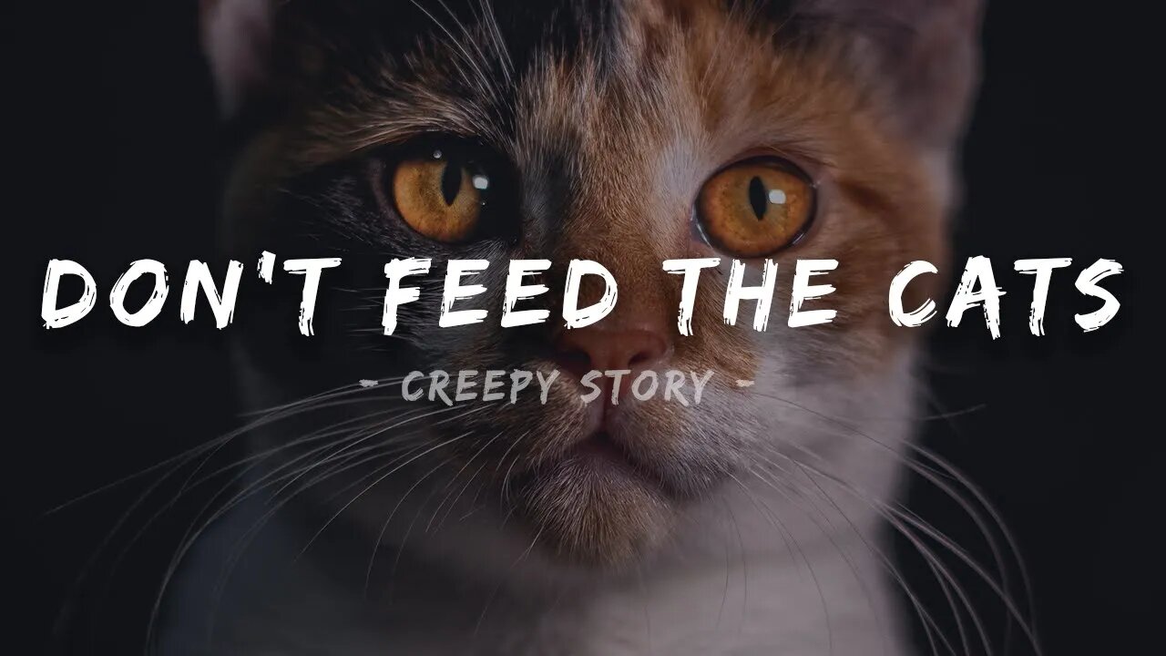 Don't Go Feed the Cats | Creepy Story