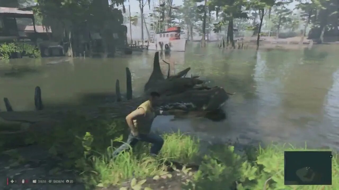 36 Searching The Bayou