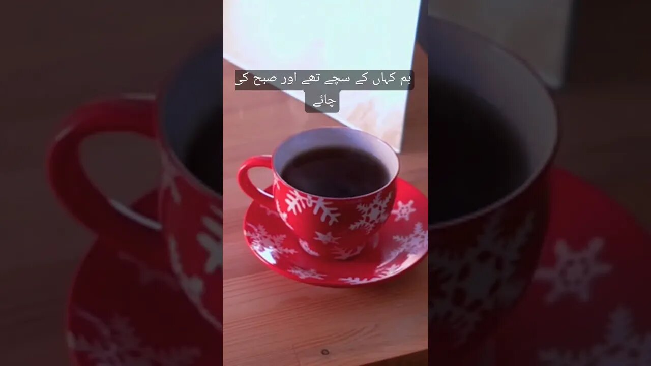 Urdu Poetry | #urdushayari