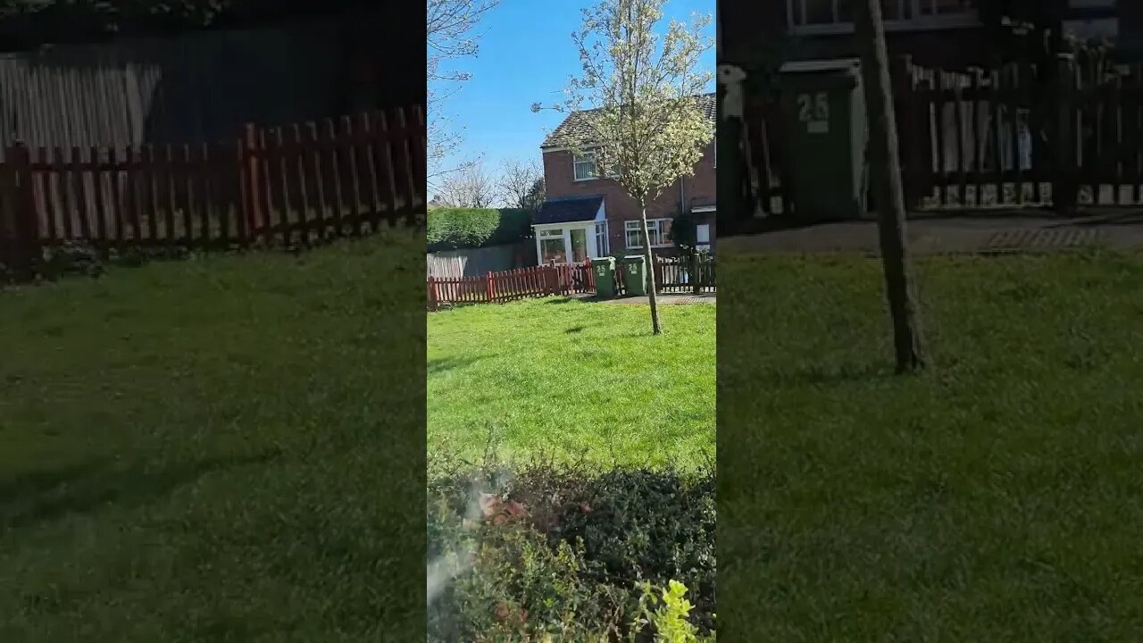 bedroom view in the afternoon enjoy 😉 don't forget to like and subscribe to my channel 👍 😉