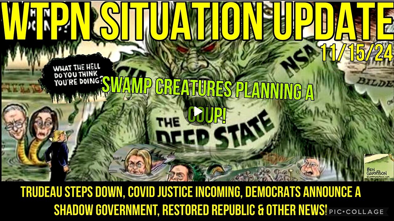 WTPN SIT/UP 11/15/24 DEMOCRAT COUP & SHADOW GOV., TRUDEAU STEPS DOWN, VT INTEL,