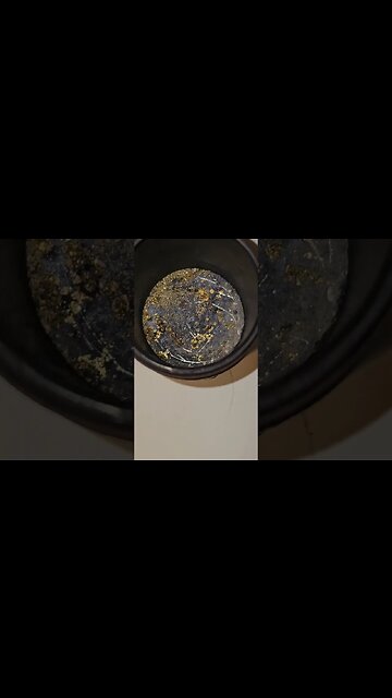 Retorting Hg from Au: 2nd attempt #goldmining #science