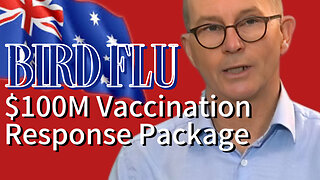 BIRD FLU WATCH 14 OCT 2024 $100M VACCINATION RESPONSE PACKAGE with Courage Is The Cure