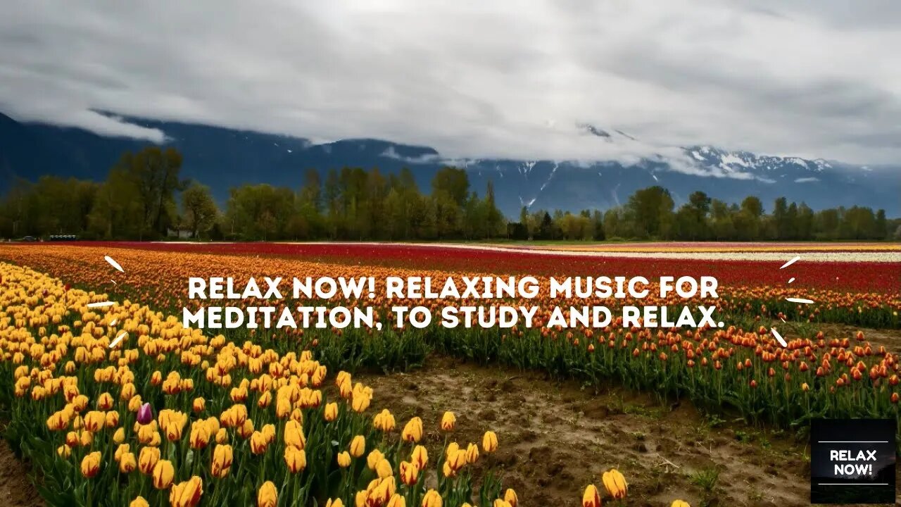 Relax Now! relaxing music for meditation, to study and relax.