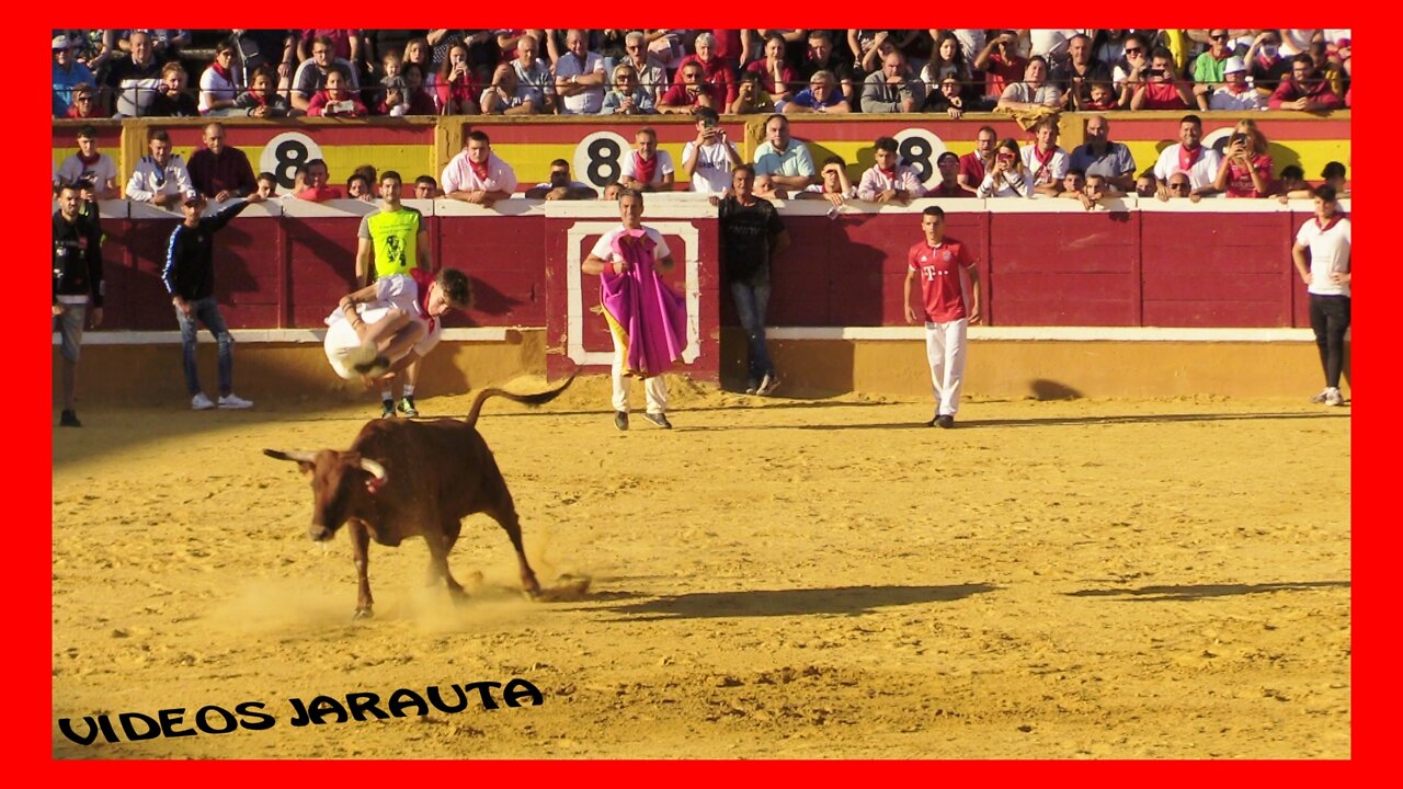 TUDELA ( NAVARRA ) MATINAL 6º ENCIERRO VACAS PLAZA ( SABADO 30 JULIO 2022 ) MACUA