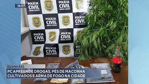 Guanhães: PC Apreende Drogas, Pés de Maconha Cultivados e Arma de Fogo na Cidade.