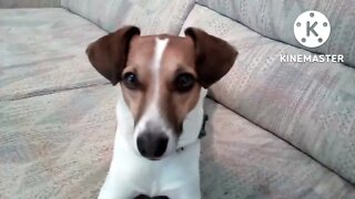 vlog is gonna hopefully a good one🙂