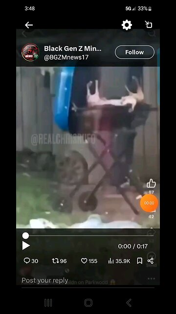 CAT BEING COOKED ON THE GRILL IN OHIO