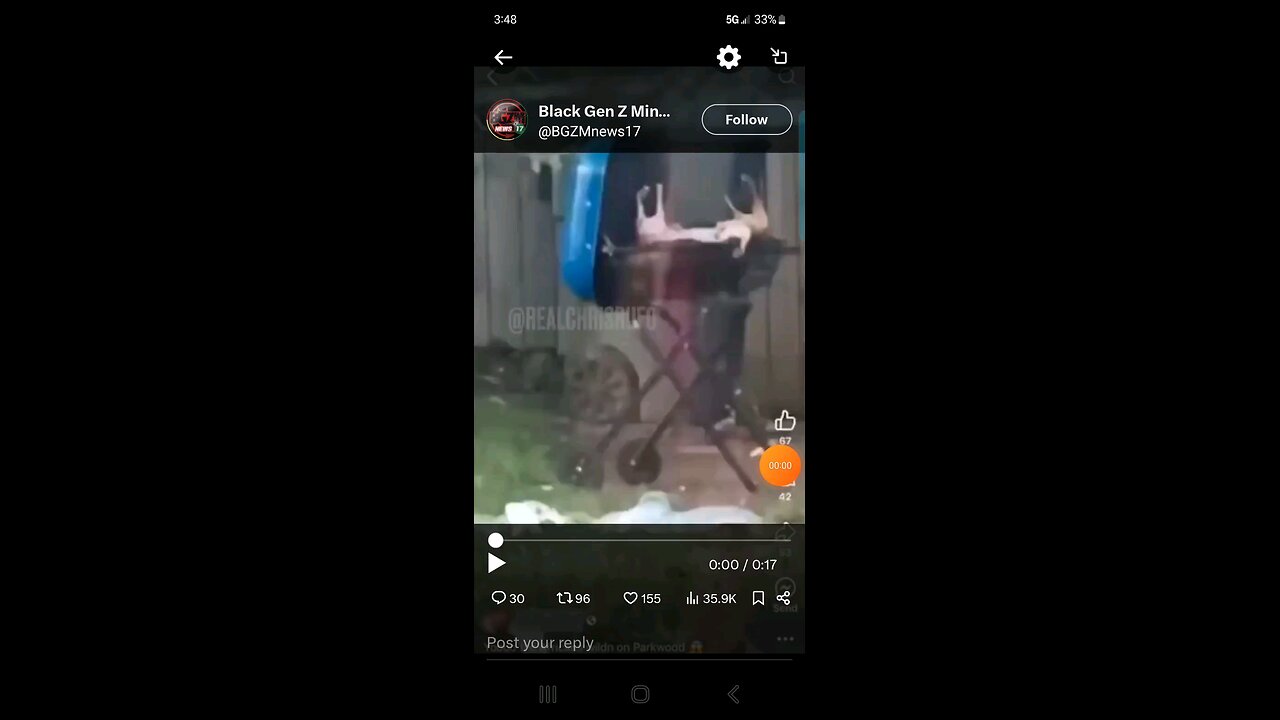 CAT BEING COOKED ON THE GRILL IN OHIO