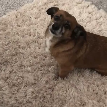 My pets are super FRIENDLY!!!