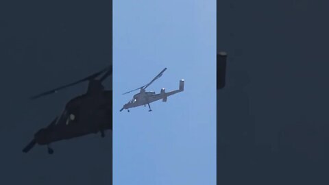 What type of Helicopter?