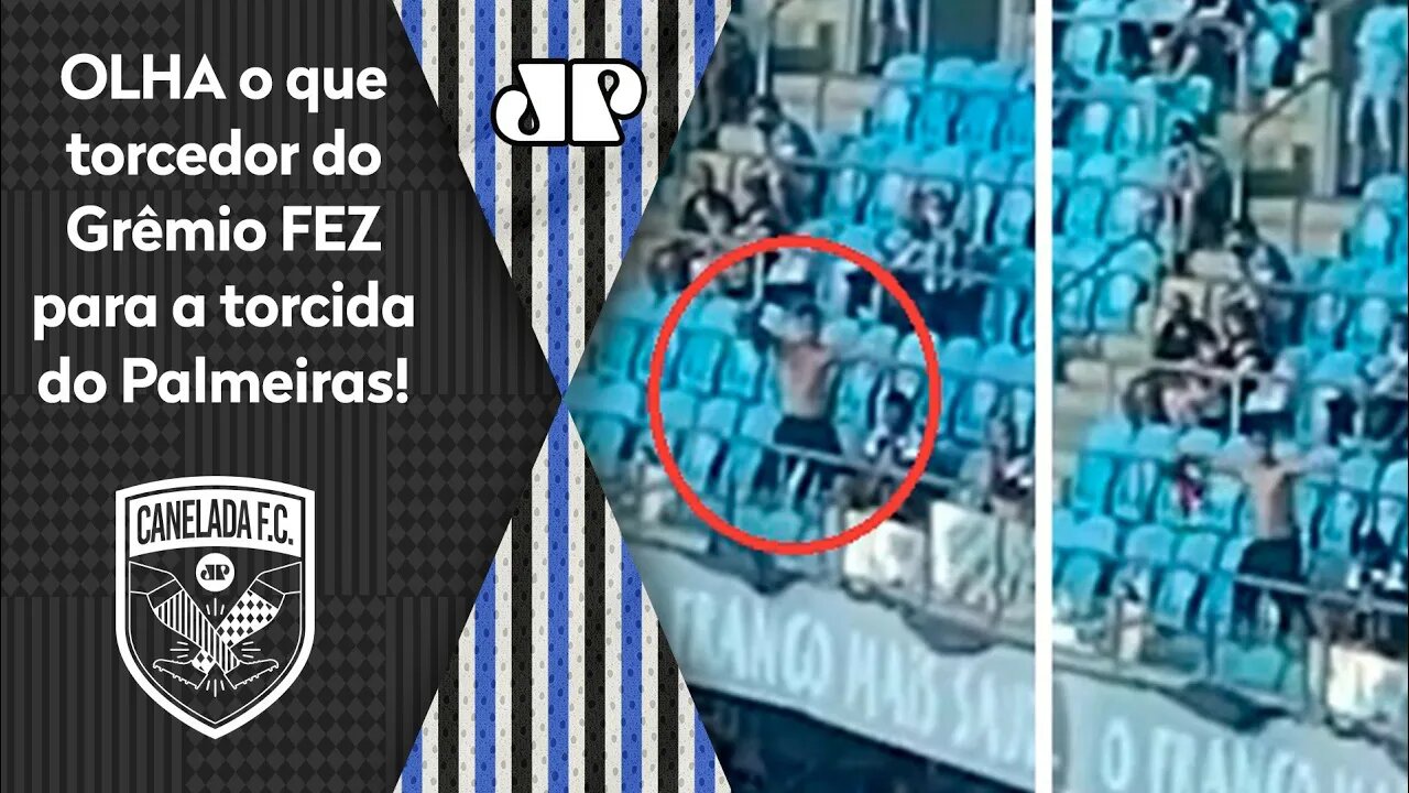 "QUE PALHAÇADA! ISSO É CRIME!" OLHA o que torcedor do Grêmio FEZ para a torcida do Palmeiras!