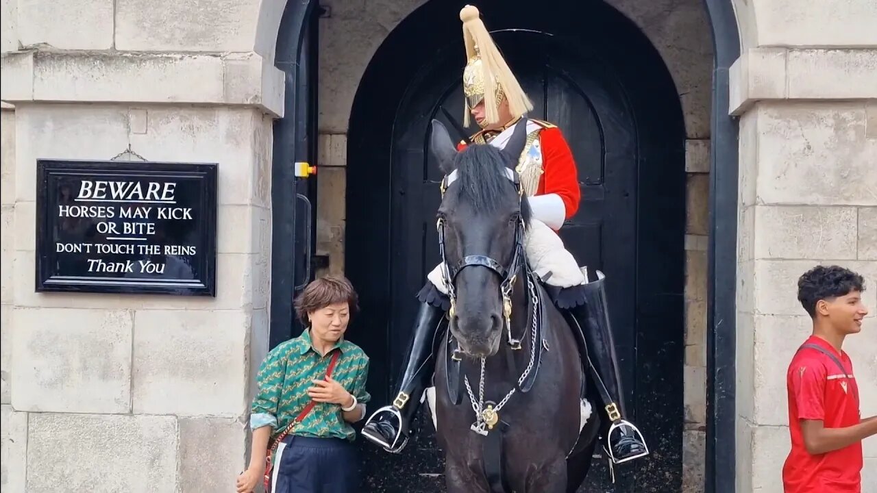 Give her the boot touching the kings guard #horseguardsparade
