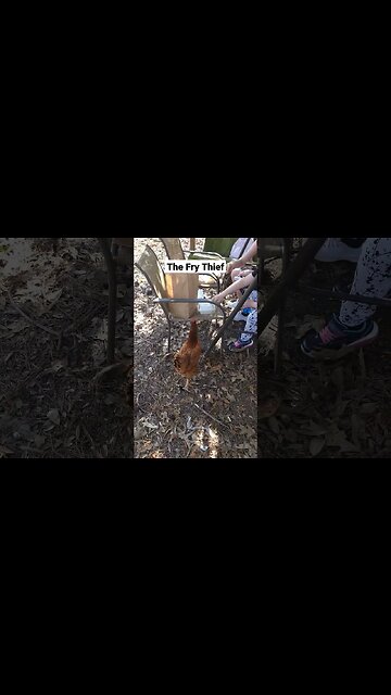 The Fry Thief #shorts