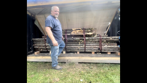 Loading the solar kiln Huge pine