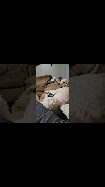 Buddy is special ❤️