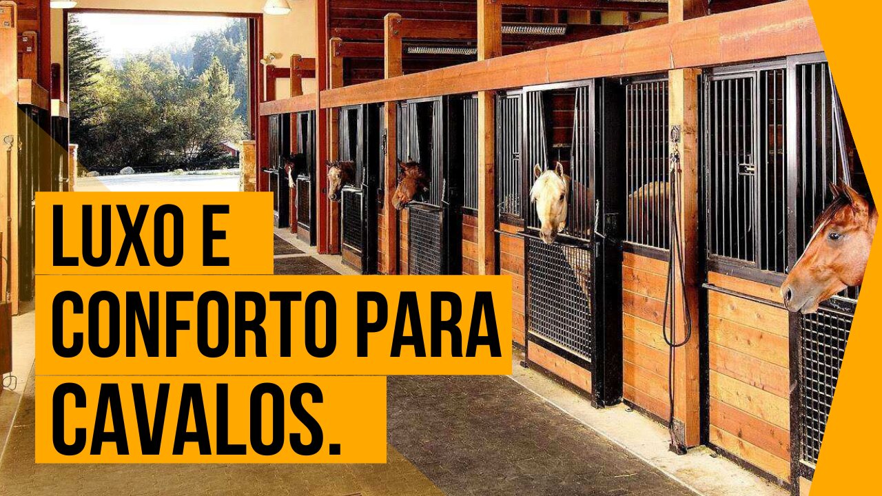 Haras, Estâncias e Coudelarias luxuosos pelo mundo.