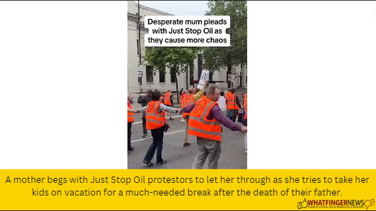 A mother begs with Just Stop Oil protestors to let her through as she tries to take her kids