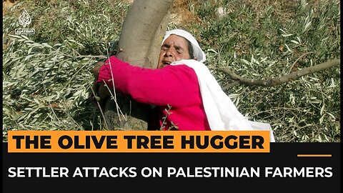 The tree hugger_ Settler attacks on Palestinian farmers and their olive trees