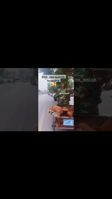 Aquela ajuda que sempre é bem vinda ☺️😍 #shorts