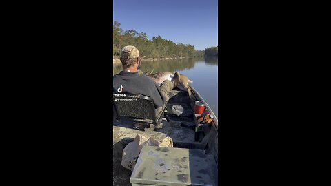 Florida Deer Hunting