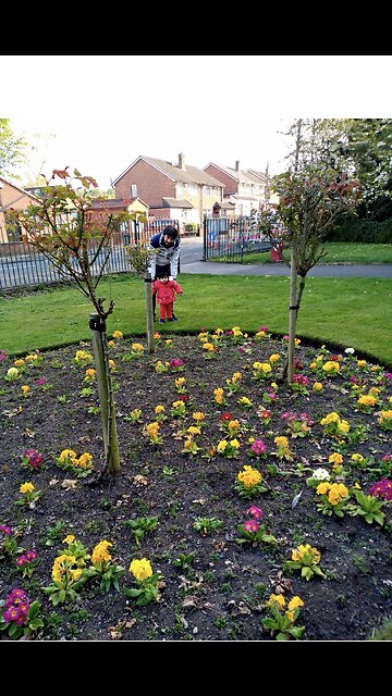 Uk Natural beauty#Nature walks#Uk shorts#Explore Nature#shorts videos