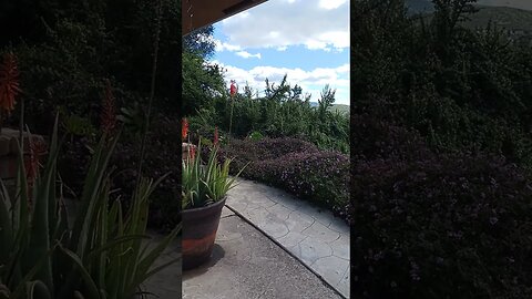 Holy Spirit Takes Over! A Truth Beyond Your Wildest Imagination Comes Thru! Heavenly Food & Drink!