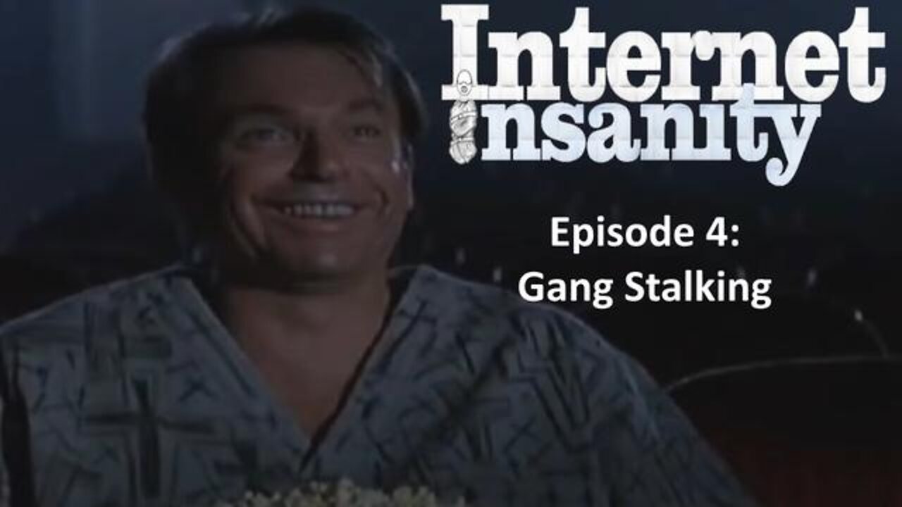 Internet Insanity Episode 4: Gang Stalking