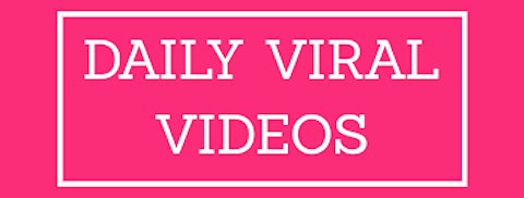 Lets Njoy Viral Video's PART2