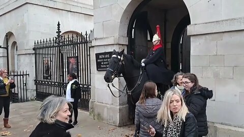 She got bit #horseguardsparade