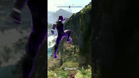 Black Panther Fighting