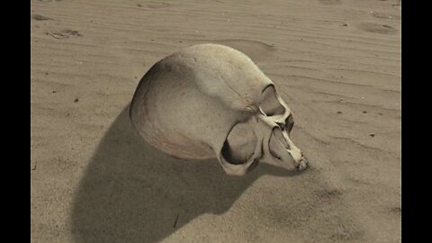 A EXTINÇÃO DO HOMEM TRADICIONAL!