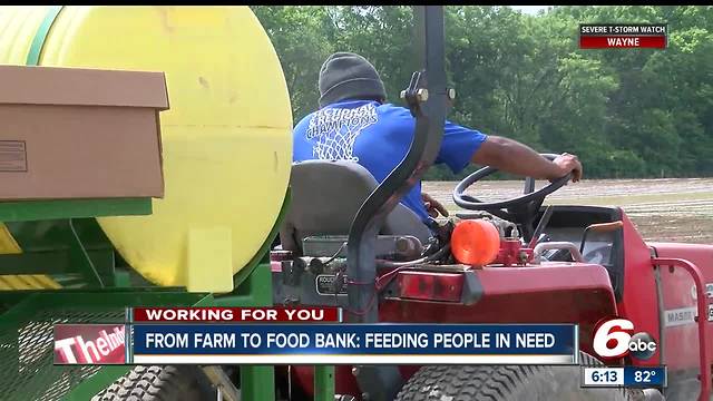 From Farm to Food Bank: Fishers urban farm is helping to feed those in need