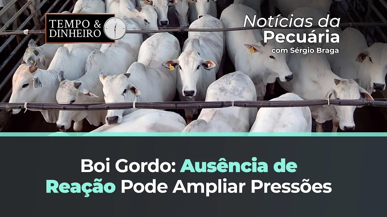 Boi gordo sem reação deve ser ainda mais pressionado.