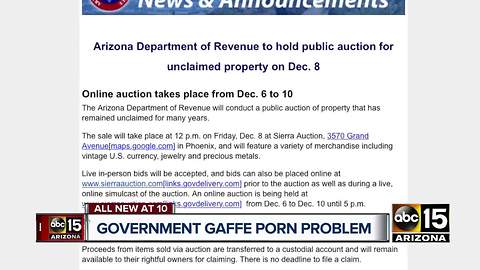 State government employee mistakenly distributes porn link