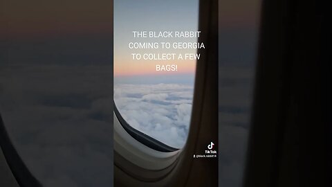 SKY RABBIT