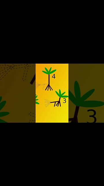 Walking Palm Tree, Socratea Exorrhiza #viral #shorts