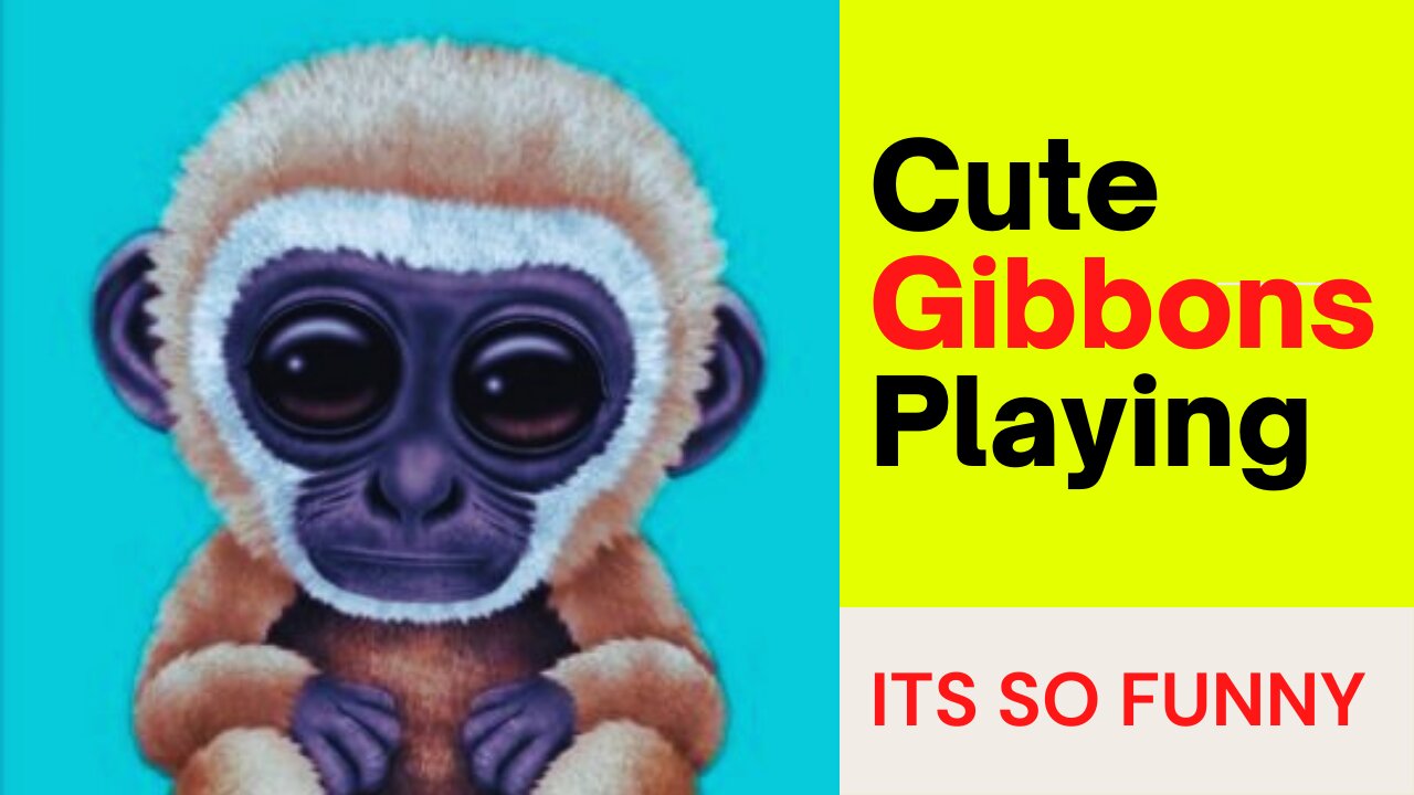 Cute Gibbons Playing Its So Funny😍😍🐵