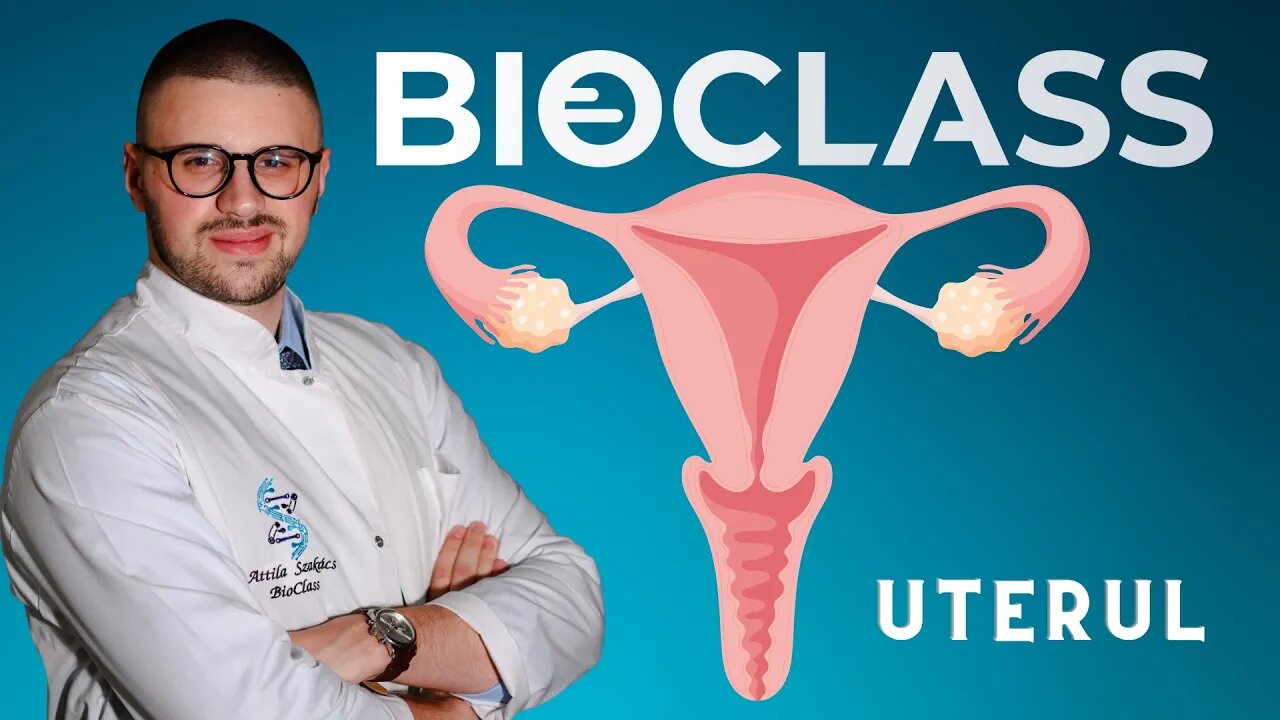 Uterul