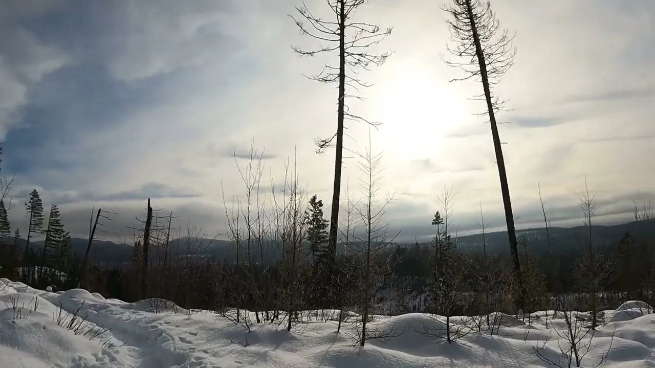 Snowshoeing in Whitefish, MT