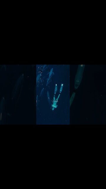 The NY Dive Teaser 1- A Spearfishing Film #shorts