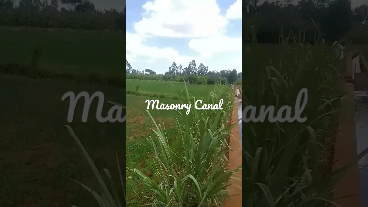 #linedcanal #irrigationdevelopment Dinka Irrigation Scheme (PASSIDP Financed)