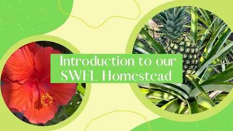 An Introduction to Our Beginning Homestead in Southwest Florida