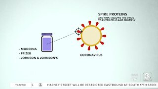 The technology behind the different vaccines