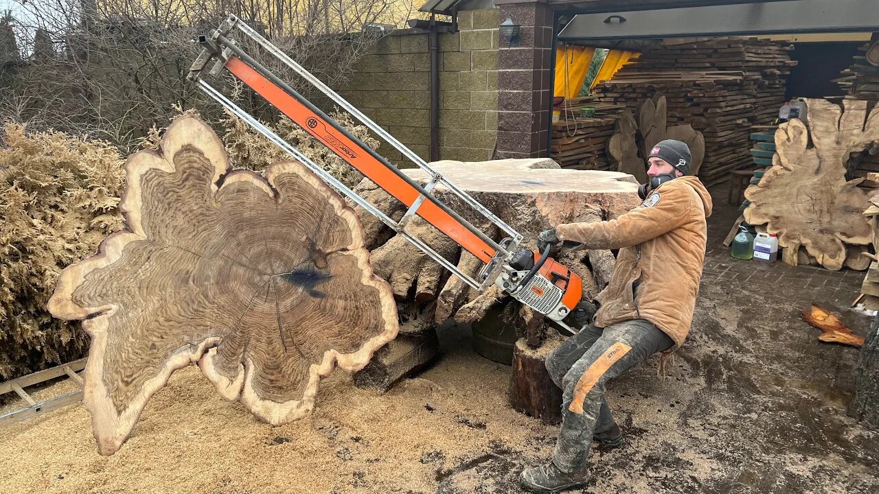 Never cut an oak stump like that