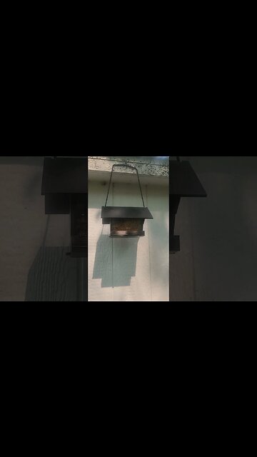 3d printed a bird house