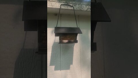 3d printed a bird house